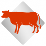 red heifer