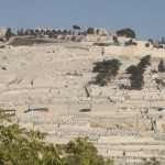 har hazeitim mount of olives jerusalem